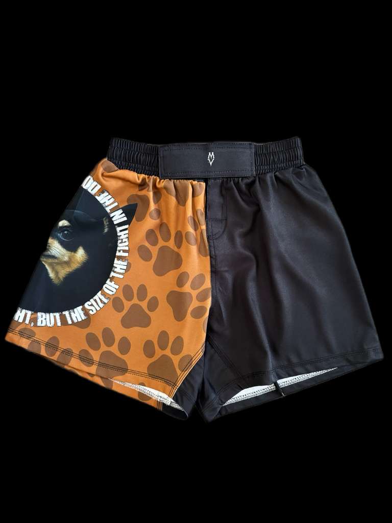 Bella Princess Shorts - Bella Princess x LMV