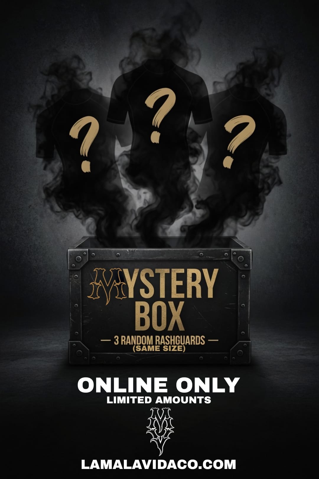 Mystery Box Random Rashguards (3 pcs - Same Size)